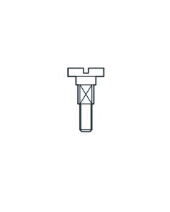 WP-PRT/31 - PRT extrusion lock screw M6X27 Slot